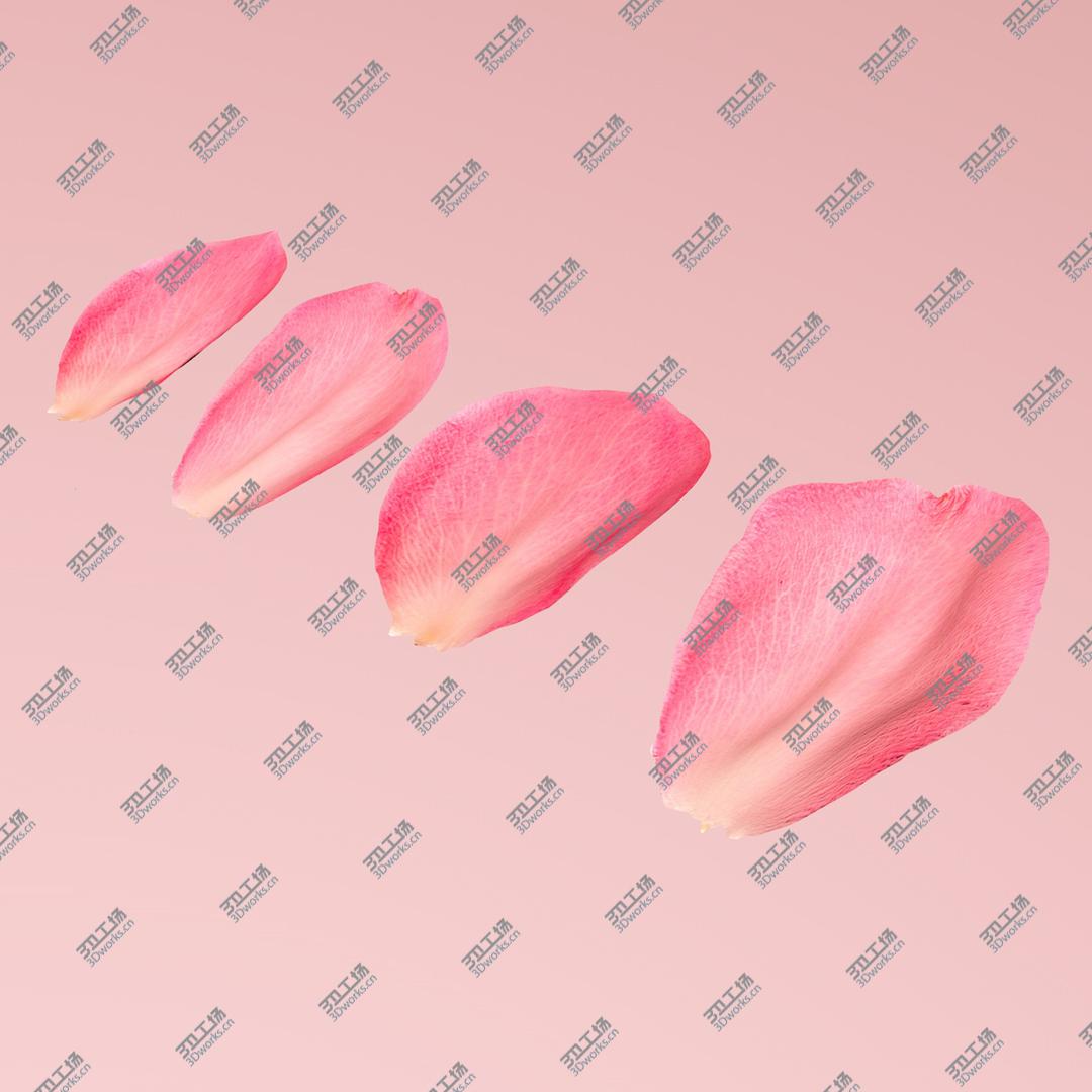 images/goods_img/202104092/Flying rose Petals model/1.jpg